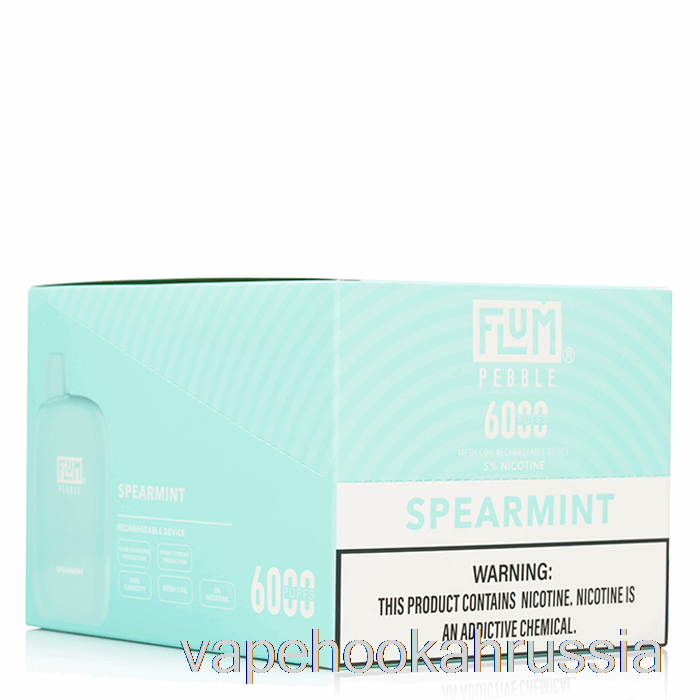 Vape Russia [10 упаковок] Flum Pebble 6000 одноразовый